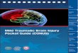 Mild Traumatic Brain Injury Pocket Guide (CONUS) .Mild Traumatic Brain Injury Pocket Guide (CONUS)