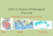 UNIT 4: History Of Biological Diversity - Mr. …mrbquinn.weebly.com/uploads/2/8/0/8/2808482/chapter_14...•The lightest elements escaped to Earth’s surface and became the atmosphere