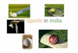 Sports in India - plymouthbalvihar.orgplymouthbalvihar.org/pdf/C2/C2SportsInIndia.pdf · the World Junior Badminton Championships. She is first Indian woman to win the Indonesian