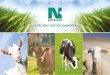 Nutrición y gestión ganadera - Alimentación para vacas ... · minerales, lácticos, cereales extrusionados, extractos de plantas y levaduras. 2. Función y características: 