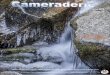 Celebrating 50 Years of Service - Camera Club of … · 2016-06-20 · Front Cover: “Ice on the Rocks ... Letter of Commendation ………..…… ... reception desk and refreshment