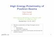 High Energy Polarimetry of Positron Beams -  · PDF file1 High Energy Polarimetry of Positron Beams Dave Gaskell Jefferson Lab International Workshop on Physics with Positrons at