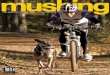 The magazine of dog-powered adventure mag.pdf · The magazine of dog-powered adventure Sept/Oct 2013 ... 26 sept/oct 2013 Media Review Lone Wolves By John Smelcer Review by Suzanne