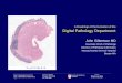 A Roadmap of the Evolution of the Digital Pathology Departmentlabsoftnews.typepad.com/file_uploads/LabInfoTech_2008_Lectures/... · A Roadmap of the Evolution of the Digital Pathology