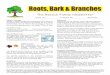 The Rebeck Family Newsletter - … · mail rootsbarkandbranches@hotmail.com or trestall@shaw.ca. Roots, Bark & Branches can also be viewed online at . Roots, Bark & Branches – Vol