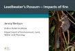 Leadbeater’s Possum – Impacts of fire - FedUni · Title . Sub-heading . 27/10/2015 . Leadbeater’s Possum – Impacts of fire . Jenny Nelson. Arthur Rylah Institute . Department