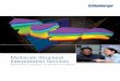 Multiscale Structural Interpretation Services - slb.com · Correlating logs and images enables identifying and characterizing faults, which helps support completion solutions, 
