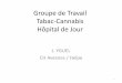 Groupe de Travail Tabac- Cannabis Hôpital de Jour · Madame OLIVIER Centre de Jour de l’Orée –Bruxelles Monsieur le Docteur PLAYOUST Service d’Addictologie - CH Tourcoing