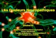Les Douleurs Neuropathiques - saetd-dz.com Neuropathique.pdf · de polyneuropathie sans autre cause Pas de véritables critères diagnostiques. Trois études épidémiologiques récentes