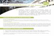 DCG Diplôme de Comptabilité et de Gestion - icof.fricof.fr/documents/DCG_fiche-information.pdf · UE 10 – Comptabilité approfondie UE 11 – Contrôle de Gestion ANNEE 2 de formation