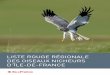 Liste rouge régionaLe des oiseaux nicheurs d’ÎLe-de-France · des oiseaux nicheurs d’Île-de-France. En dressant la Liste rouge des espèces menacées de l’avifaune de notre