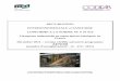 FDES CI r sineux 13032012 · 2013-03-18 · industrielle.fr/pdf/SCIBO-fabricants-charpente-fermette-traditionnelle.pdf), - la charpente industrielle doit être ... Charpente et escaliers