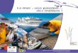 La mer : une passion… des métiers - selestiboat.com · Ce guide contient toutes les informations pratiques et utiles sur les métiers de la mer. ... de 4 heures) à la passerelle