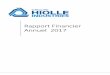 Rapport Financier Annuel 2017 - hiolle- reglementees...  4 Groupe HIOLLE INDUSTRIES â€“ Rapport Financier