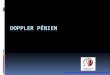 Doppler pénien - sfms.free.frsfms.free.fr/cube/2010-angionord-puttemans01.pdf · insuffisance érectile d’origine vasculaire ... Le Doppler pénien consiste à étudier le signal