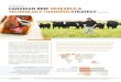 CANADIAN BEEF RESEARCH & TECHNOLOGY TRANSFER STRATEGY · CANADIAN BEEF RESEARCH & TECHNOLOGY TRANSFER STRATEGY 2018-2023 Developed by the Beef Cattle Research Council ... CANADIAN