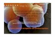 CELLULES SOUCHES, THÉRAPIE CELLULAIRE ET …als.univ-lorraine.fr/conferences/2008/Stoltz/Stoltz(15-05-08)D.pdf · - Cultiver ou cocultiver des cellules (éventuellement inclusion