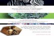 - INSTITUT MUTUALISTE DE MONTSOURIS - 42 … · 2018-01-11 · 3 éditions de son Festival itinérant, ... et les salons d’Art. Espace d’exposition gratuit pour les artistes Commissions