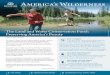 America’s Wilderness · 2 1-800-THE-WILD DEAR WILDERNESS SOCIETY SUPPORTER, This summer, we are working to protect one of America’s most important conservation programs: the Land