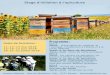Stage d'initiation à l'apiculture - babilon.be · Souhaite m'inscrire au stage d'initiation à l'apiculture aux dates suivantes: ☐ 11-12-13 mai 2018 ☐ 15-16-17 juin 2018 ☐