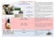 Première Guerre mondiale - daniele-corneglio.frdaniele-corneglio.fr/wp-content/uploads/2017/06/repres-3-me.pdf · LES REPERES HISTORIQUES : 3ème 1914/1918 Première Guerre mondiale