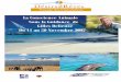 La Conscience Animale Sous la Guidance de Gilles …gillesdelieuze.com/.../PROGRAMME-KENYA-GILLES-DELIEUZE.pdf · 2017-01-09 · grande plage de sable fantastique et jardin bien entretenu