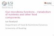 Gut microbiota functions - metabolism of nutrients …ilsi.org/europe/wp-content/uploads/sites/3/2016/05/session-2-I... · Gut microbiota functions - metabolism of nutrients and other