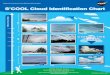 S’COOL Cloud Identification Chart - NASA · The Cloud Cookery. Observe clouds and investigate our changing planet! How to Make a Cloud. Have you ever wondered how clouds form? Well