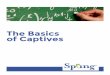 The Basics of Captives - Home Page - Risk & … … · The Basics of Captives. ... own one or more captive insurance companies and many captives house more than one ... • Luxembourg