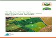 Guide de sécurisation foncière sur les aménagements hydro …pubs.iied.org/pdfs/17607FIIED.pdf · 2017-09-11 · 4 Guide de sécurisation foncière sur les aménagements hydro-agricole
