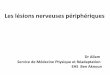 Les lésions nerveuses périphériquesceil.univ-alger.dz/sciences_med/images/cours/5annee/Leslesions... · VI/ Anatomie pathologique ... paravertébraux + revêtement cutané dorsal
