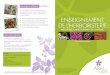 ENSEIGNEMENT DE L’HERBORISTERIE · Document non contractuel Rubus idaeus ... - Anatomie et physiologie humaine - Biochimie et physiologie végétale - Diététique - Plantes toxiques