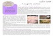 La gale ovine - GDS 03gds03.fr/pages/FT_gale.pdf · La gale ovine Une maladie préjudiciable due à un acarien La gale ovine Les points importants La gale ovine est une mala-die parasitaire