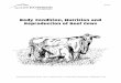 Body Condition, Nutrition and Reproduction of Beef …agrilifecdn.tamu.edu/.../07/...Nutrition-Reproduction-of-Beef-Cows.pdf · Body Condition, Nutrition and Reproduction of Beef