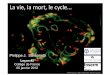 Leçon#2 - copie - Collège de France · - Transport de vésicules membranaires entre réticulum ... Echappement de la bactérie dans le cytosol et mouvement dépendant de l’actine