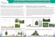 Elements of the Recommended Plan - Ottawa · grass swales along the rural cross-sections. Enhanced grass swales are vegetated open channels that convey, ... Piste sud potentielle