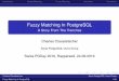 Fuzzy Matching In PostgreSQL - Swiss PGDay · Introduction Simple Matching Fuzzy Matching Use Case Conclusion Fuzzy Matching In PostgreSQL A Story From The Trenches Charles Clavadetscher