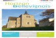 Horizon - bellevigneenlayon.fr · de lancement du schéma directeur d’assainissement et de solliciter l’aide du SATEA. Réseau de chaleur dans le bourg de Thouarc 