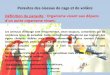 Parasites des oiseaux de cage et de volière - …ekladata.com/...des-oiseaux-de-cage-et-de-voli-re.pdf · Parasites des oiseaux de cage et de volière Définition du parasite : Organisme