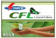 ENERGY SAVING PRODUCTS LIGHTING - Jademar …jademar.com/commercesuite_literature/Compact Fluorescent... · 2018-06-13 · Pcs/Ctn Weight/Ctn Cube/Ctn ... Pcs/ tn Weight/ tn ube