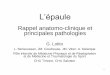 Rappel anatomo-clinique et principales pathologiessante.travail.free.fr/smt6/communic/2011-2012/2012-03-26/5-Epaule.pdf · Acromio-claviculaire ... Tests d'instabilité antérieure
