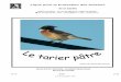Ligue pour la Protection des Oiseaux - files.biolovision.netfiles.biolovision.net/ · Texte et photos . Le Tarier pâtre n°8 5 ... le Plongeon imbrin, Gavia immer, a été observé