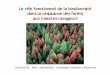 Le rôle fonctionnel de la biodiversité dans la résistance ... · méduse Aequorea victoria Miscanthus giganteus 20 t biomasse/ha/an Cataranthus roseus ... réduit l’attaque des