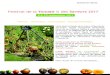 Festival de la Tomate des Saveurs 2017 - parcsetjardins.fr · Photos issues du livre Les Tomates du Prince Jardinier (édition Michel Lafon) ©Marc Dantan. LES ANIMATIONS ... l’heure