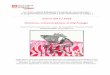 Saison 2017 / 2018 Chimères, métamorphoses et …macao-cosmage.fr/pdf/Programmation JP scolaires 2017 2018.pdf · Gratuit sur résevation ... Une sélection de courts-métrages