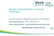Biogaz et biométhane en France: Panoramaatee.fr/sites/default/files/ATEE/Fichiers/matin-1-club_biogaz... · Différents procédés de méthanisation IAA Industries ... du stock de