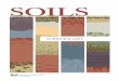 SOILS€¢ PS3.D: Energy in Chemical Processes and Everyday Life Enduring Understandings: • Soils are dynamic and always changing • Soil is not dirt • Soils play an essential