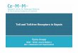 Toll and Toll-free Receptors in Sepsis · Toll and Toll-free Receptors in Sepsis Sylvia Knapp MUW – Klinik f. Innere Medizin I Abt. f. Infektionen und Tropenmedizin