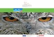 Aktualisierungen und Erweiterungen im Überblick Wegweiser II FP... · ELER Förderprogramme, fondsübergreifende sowie agrar- und umweltrelevante ... vorbeugenden Hochwasserschutz