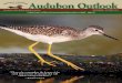 Audubon Outlook - Buffalo Audubon Society Oct 2015 Outlook.pdf · Audubon Outlook “106 Years of Environmental Education 1909 - 2015” ... Mrs. Kalista Lehrer In Memory of Joan